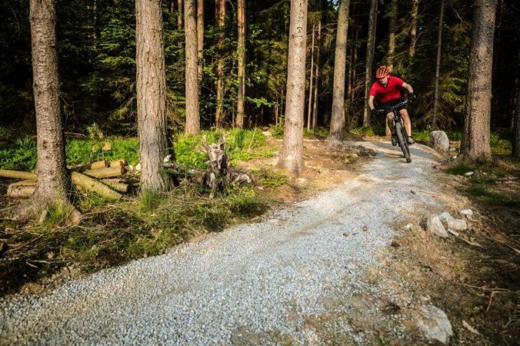 Cycliste vélo de montagne dans la forêt