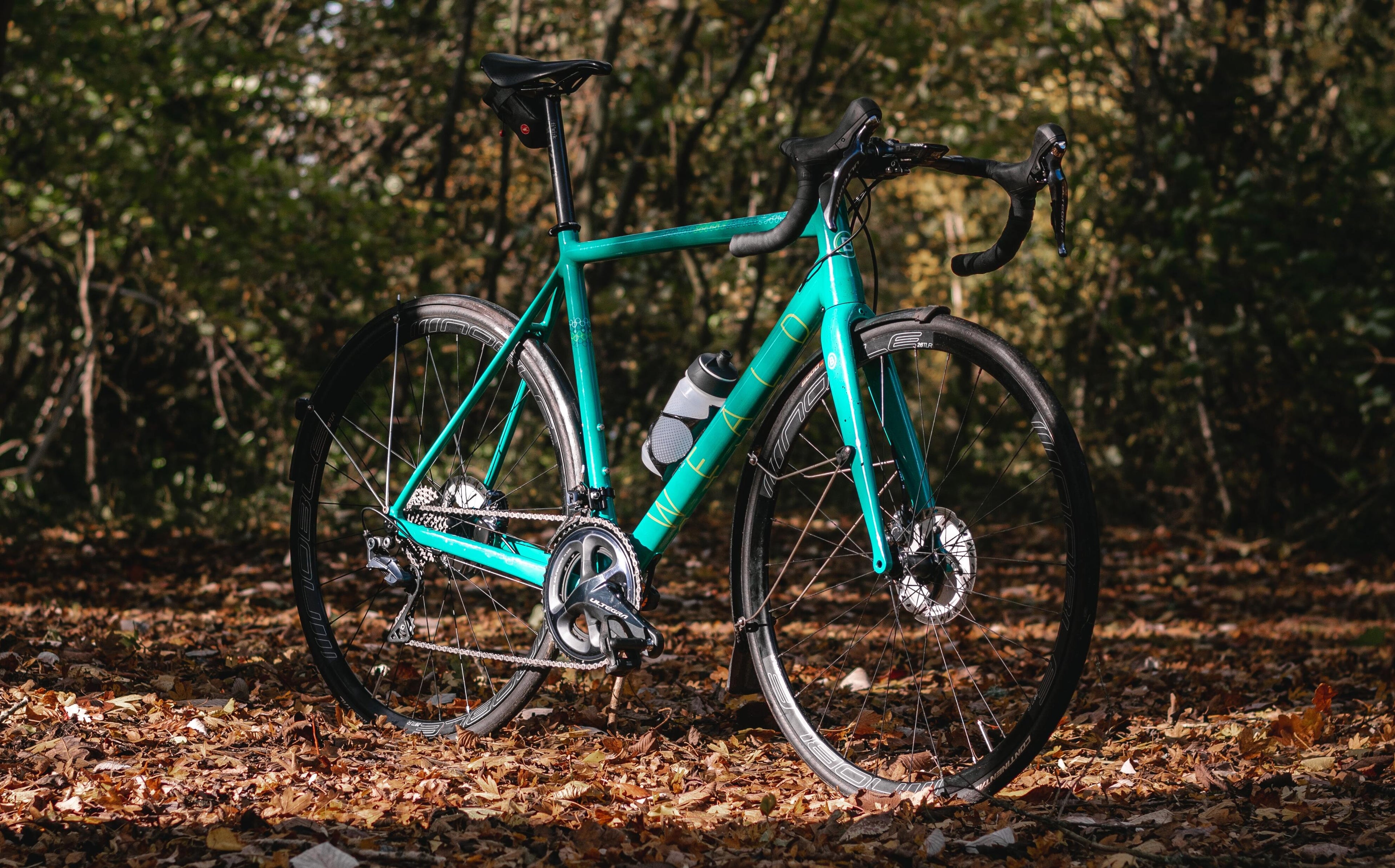 Descubre 10 increíbles bicicletas de gravel para aventuras fuera del asfalto