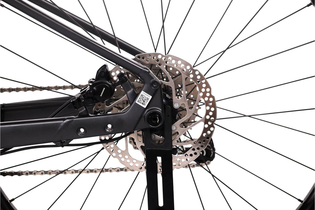 Focus Jarifa² 6.6 Seven