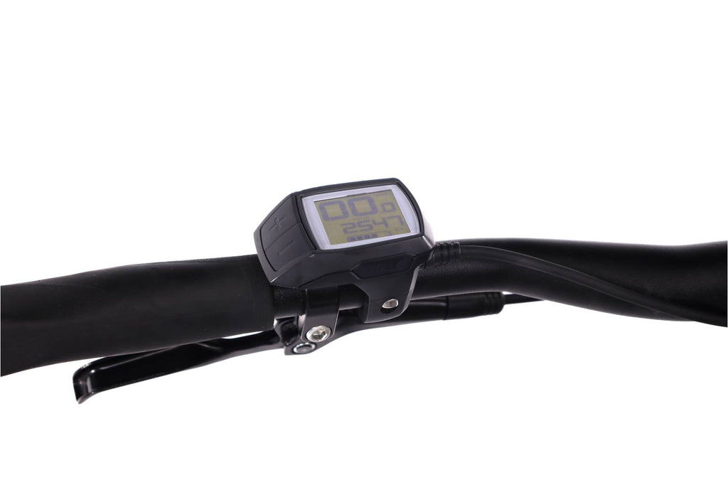 Focus Jarifa² 6.6 Seven