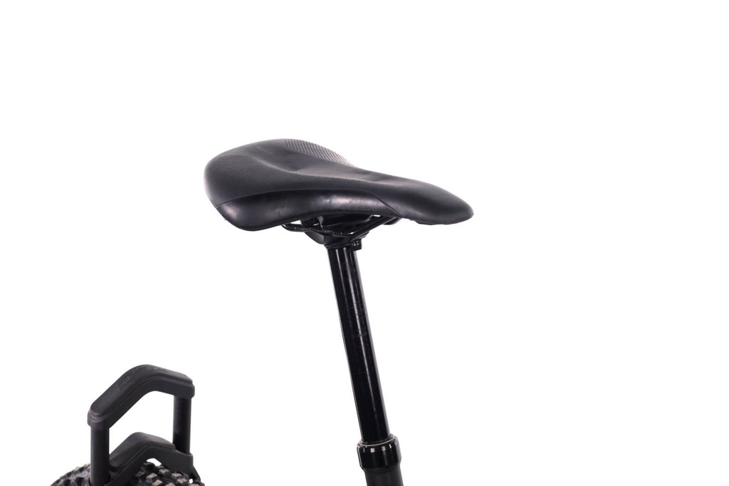 Giant Reign E+2 MX PRO