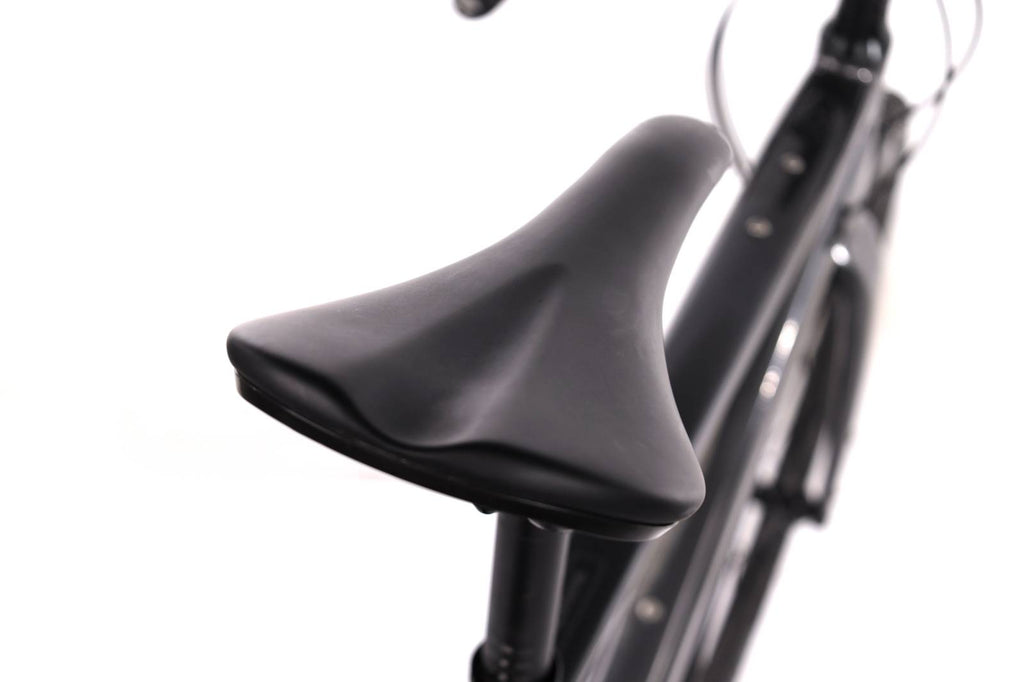 Cannondale Topstone Neo SL 2