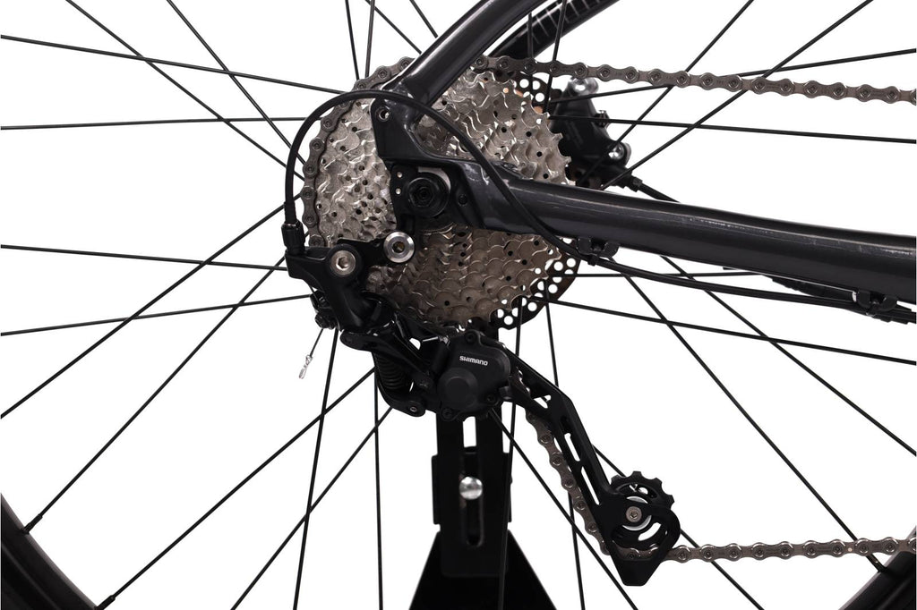 Cannondale Topstone Neo SL 2