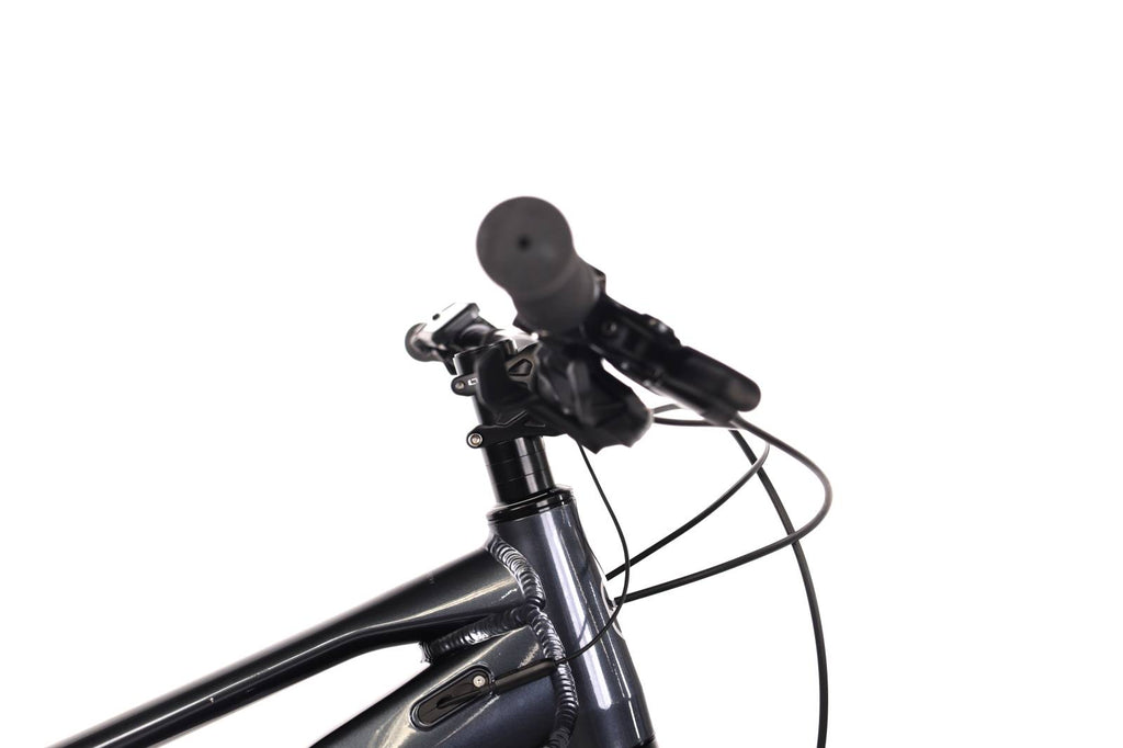 Mondraker Thundra 29