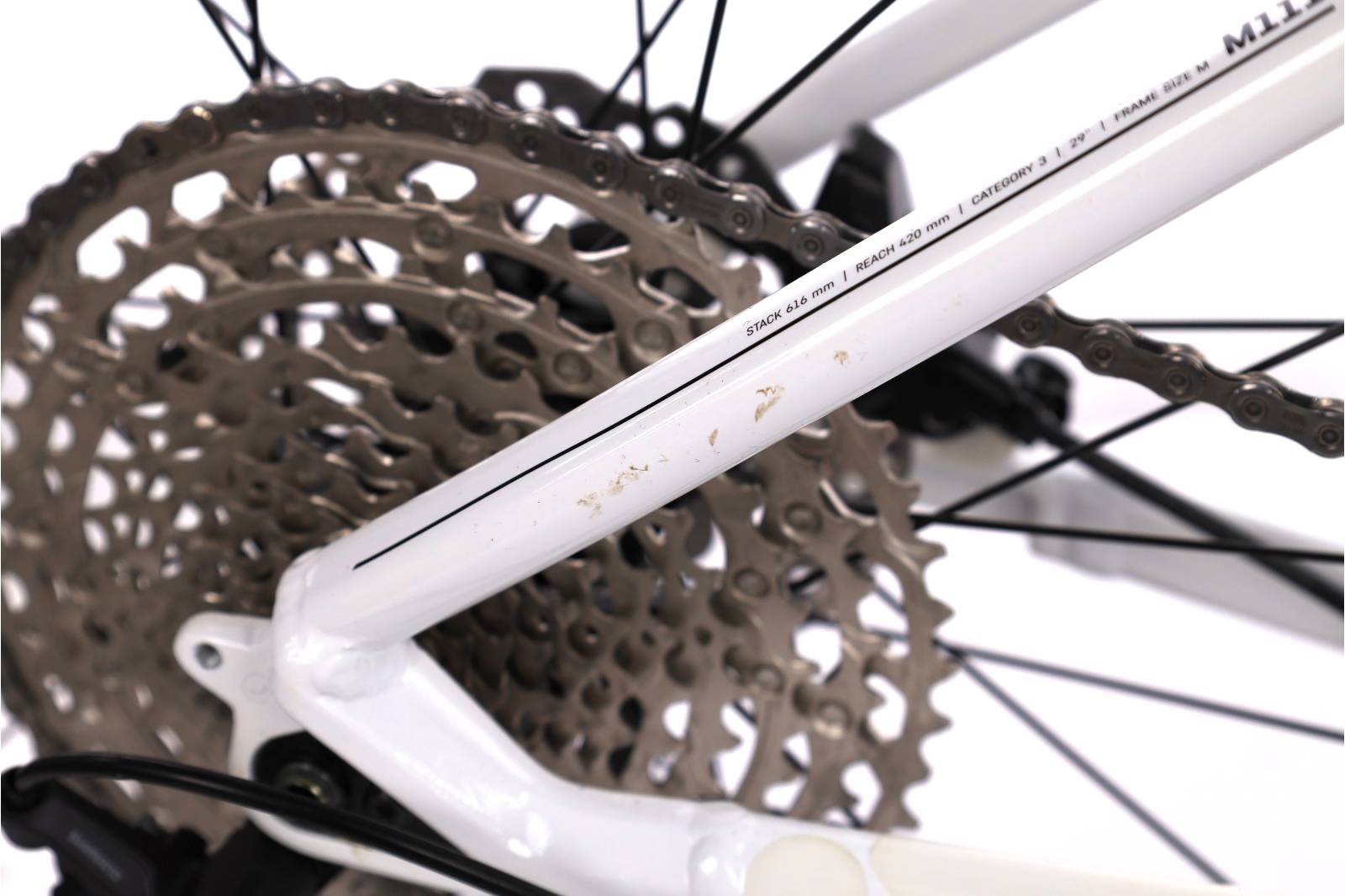 Canyon Grand Canyon WMN 8