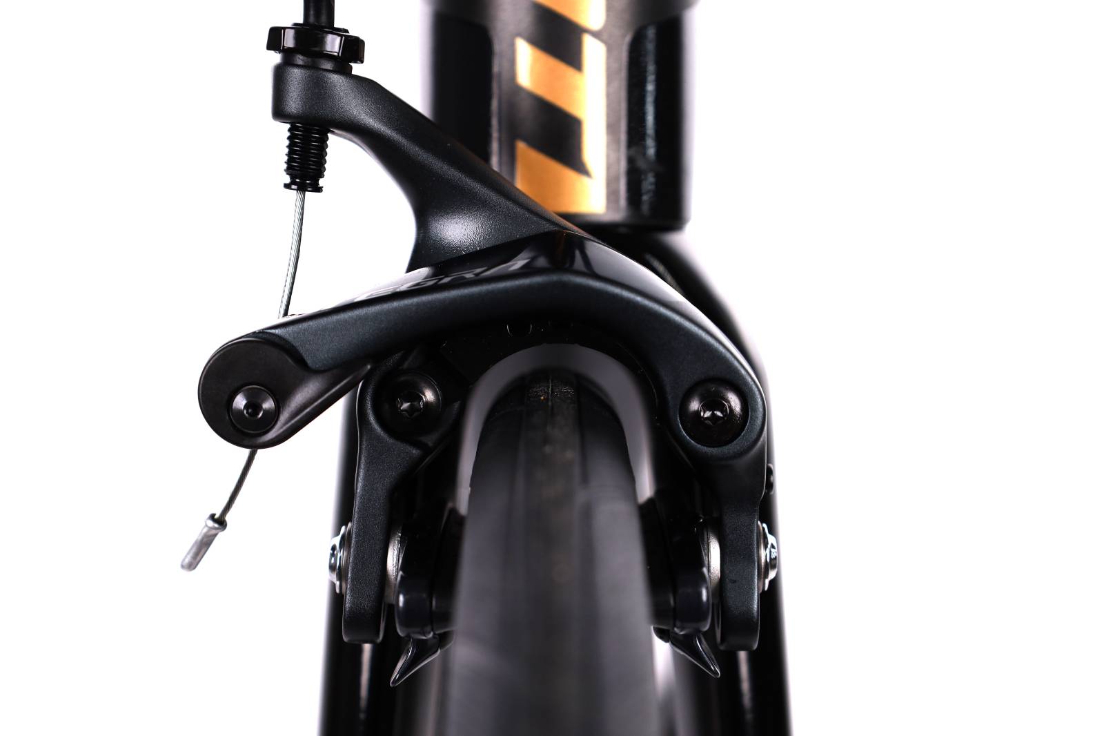 Giant TCR Advanced 1