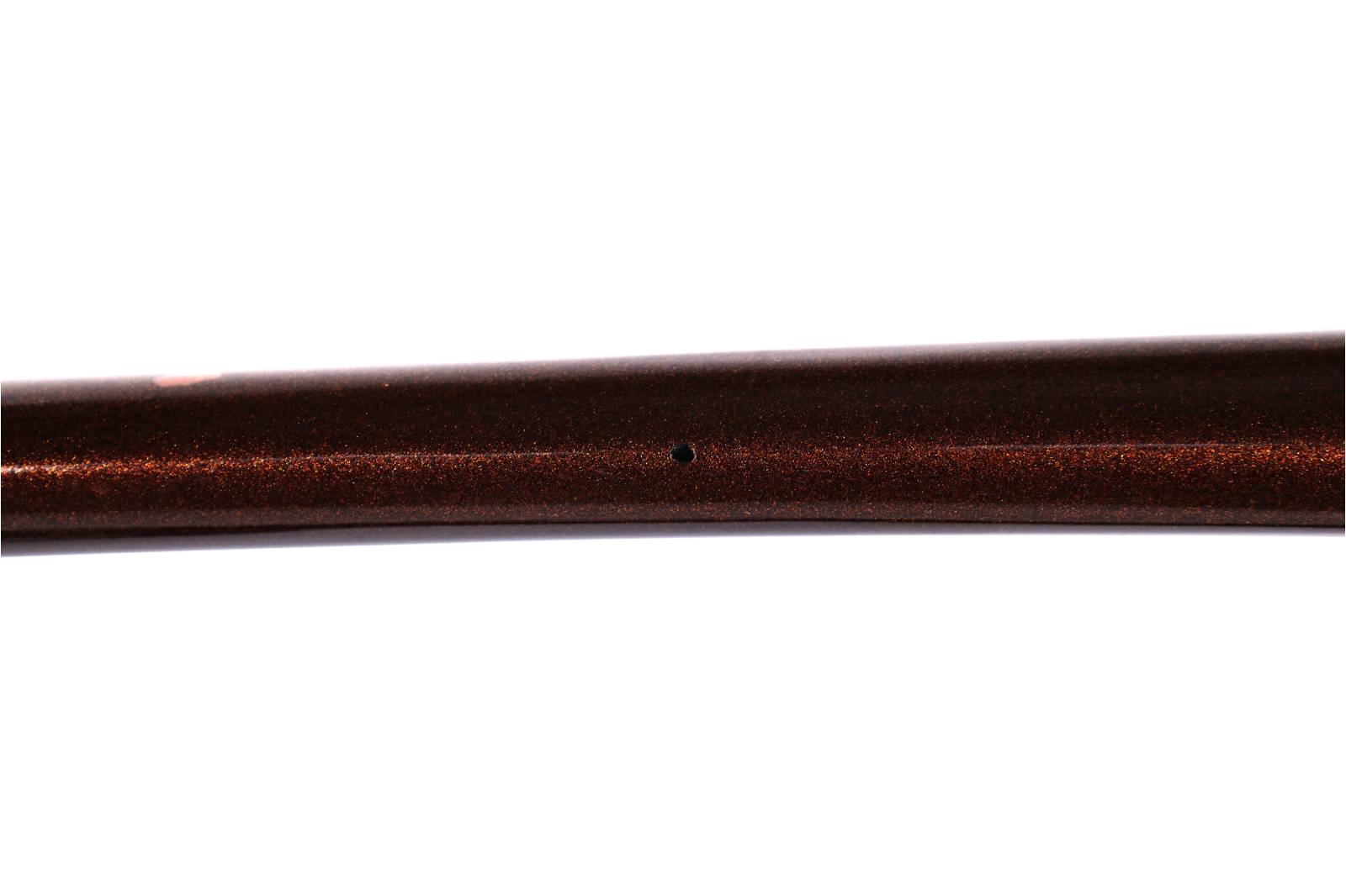 Giant TCR Advanced 2