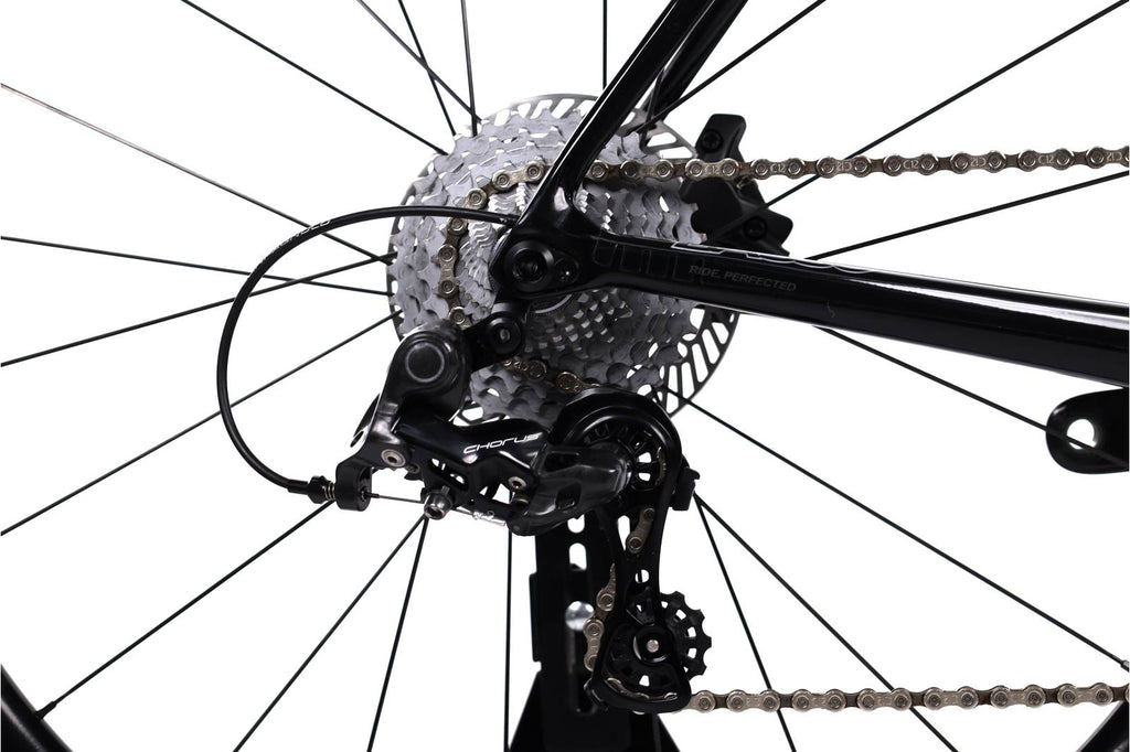 Basso Venta Disc Campagnolo