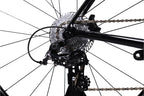 Basso Venta Disc Campagnolo