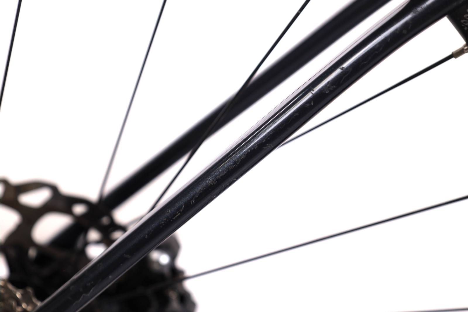 Fuji Grand Fondo 1.3