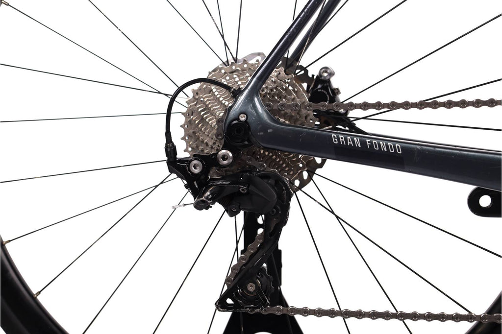 Fuji Grand Fondo 1.3