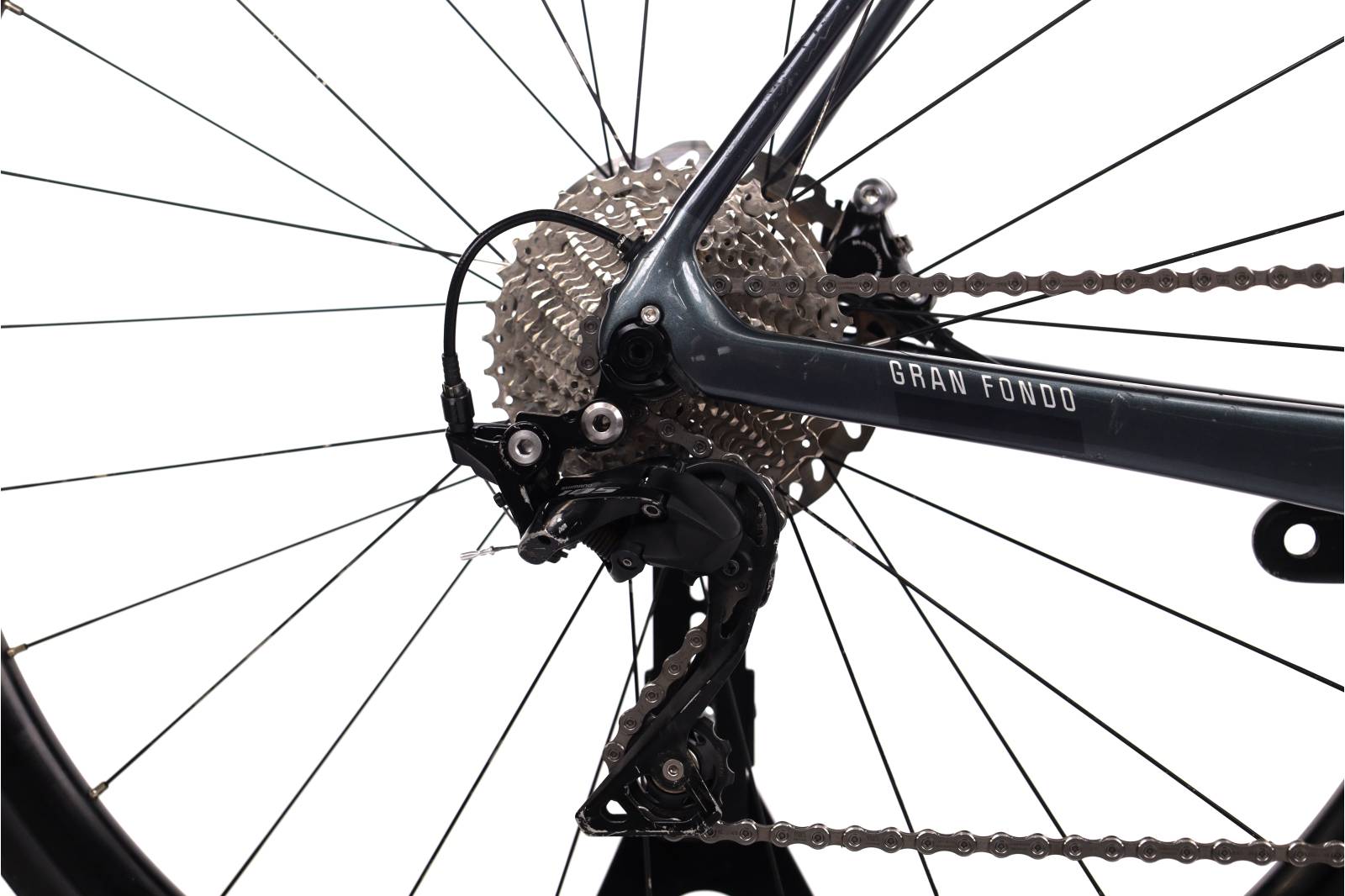 Fuji Grand Fondo 1.3