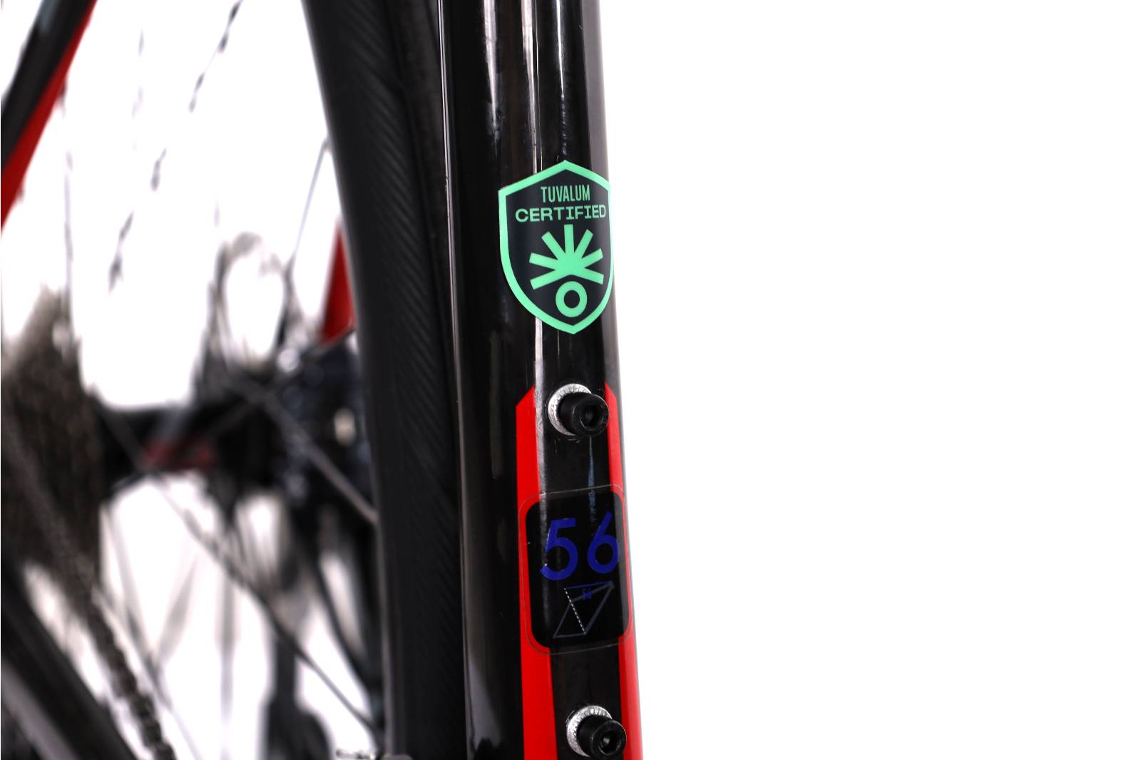 Fuji Grand Fondo Two.3