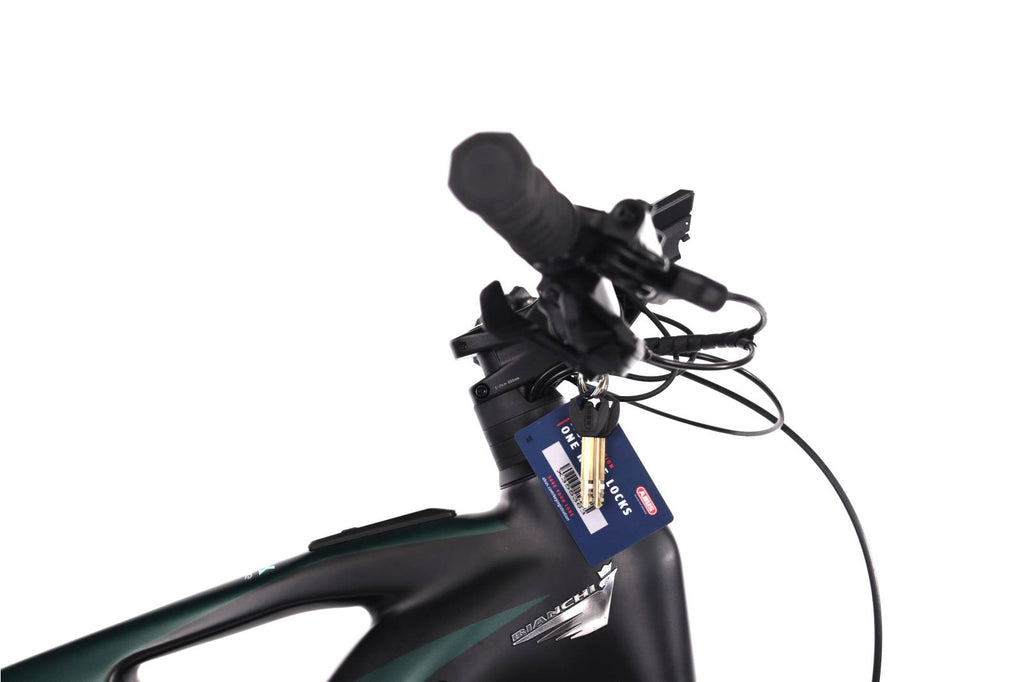 Bianchi E-Vertic FX Type