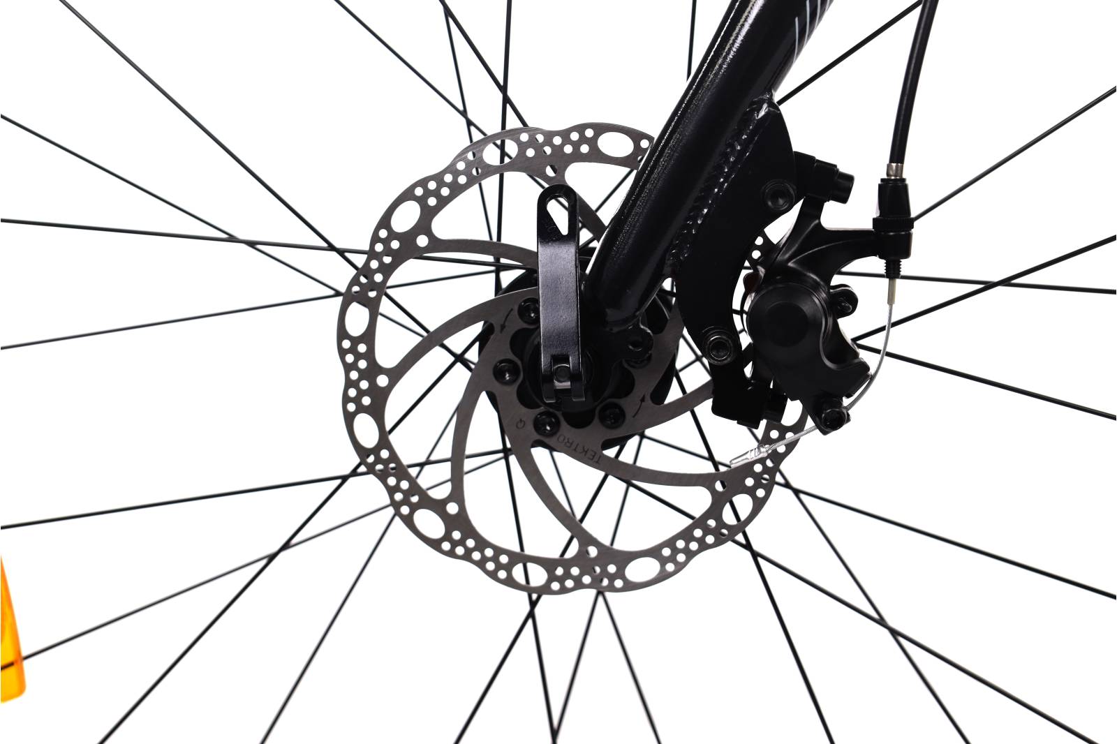 Liv Alight Disc 3 city